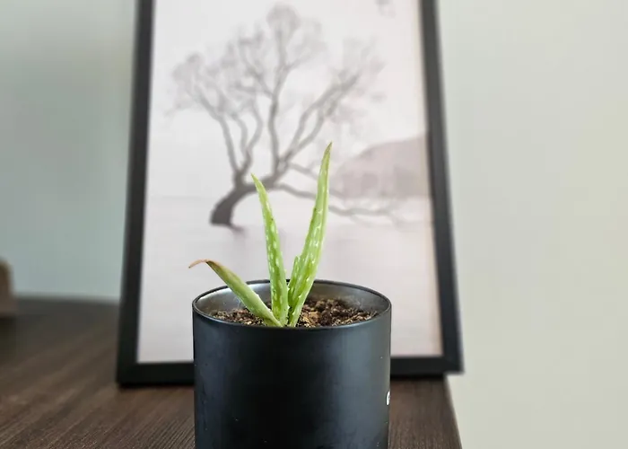 Appartement Sky Oasis Skopje